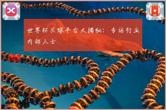 世界杯买球平台大揭秘：专访行业内部人士