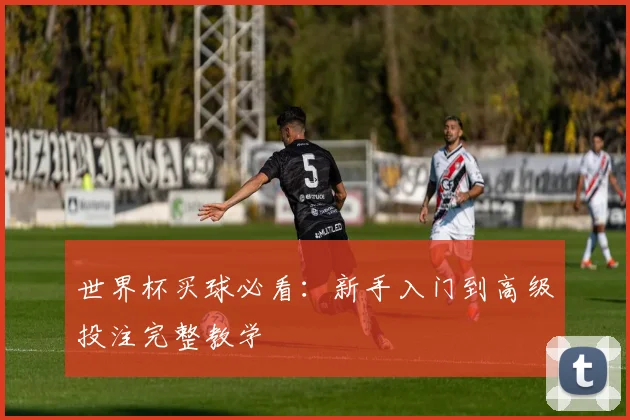 世界杯买球必看：新手入门到高级投注完整教学