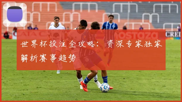 世界杯投注全攻略：资深专家独家解析赛事趋势