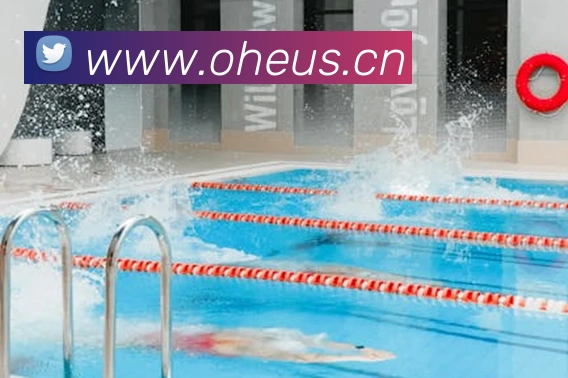 多媒体互动体验